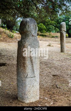 Menhir-Statuen in der Ebene vor einem 1200 Jahre alten Olivenbaum, archäologische Stätte von Filitosa, Korsika, Filitosa, Korsika, Frankreich, Europa Stockfoto