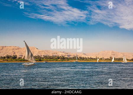 Nilufer mit Feluccas, Luxor, Theben, Ägypten, Luxor, Theben, Ägypten, Afrika Stockfoto