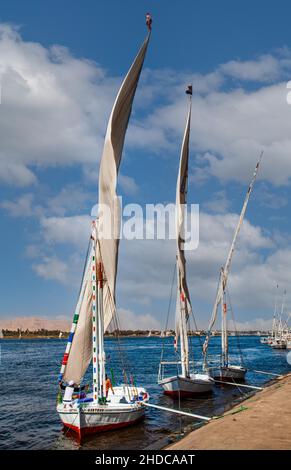 Nilufer mit Feluccas, Luxor, Theben, Ägypten, Luxor, Theben, Ägypten, Afrika Stockfoto