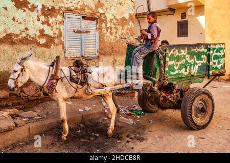 Pferdewagen, Basar in der Altstadt, Luxor, Theben, Ägypten, Luxor, Theben, Ägypten, Afrika Stockfoto