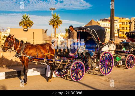 Pferdekutschen warten auf Passagiere an allen touristischen Attraktionen, Luxor, Theben, Ägypten, Luxor, Theben, Ägypten, Afrika Stockfoto