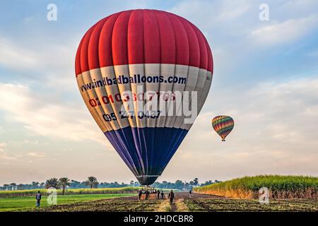 Ballonlandung, Luxor aus der Vogelperspektive im Heißluftballon, Theben, Ägypten, Luxor, Theben, Ägypten, Afrika Stockfoto