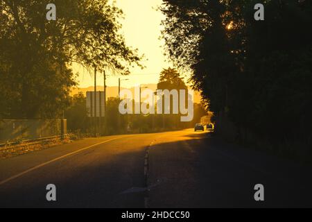 Zwei Autos, die in einer von Bäumen umgebenen Straße fahren, ragen das orangefarbene goldene Sonnenaufgangslicht auf Stockfoto