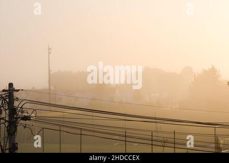 Elektrische Pfosten und Drähte in einem Vorort während eines nebligen Morgens mit goldenen Tönen Stockfoto