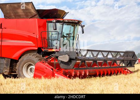 Landwirtschaftliche Maschinen auf dem Feld, ein Fragment eines großen roten Mähdreschers während der Ernte vor dem Hintergrund eines Weizenfeldes. Nahaufnahme, Stockfoto