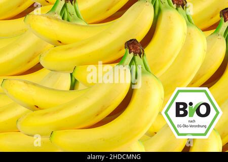Bananen, Marktstand, Früchte, Obst, Bio, Bio-Siegel, Stockfoto