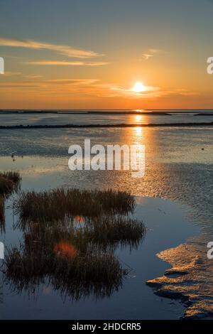 Abend am Wattenmeer / Abend im Gezeitenmeer Stockfoto