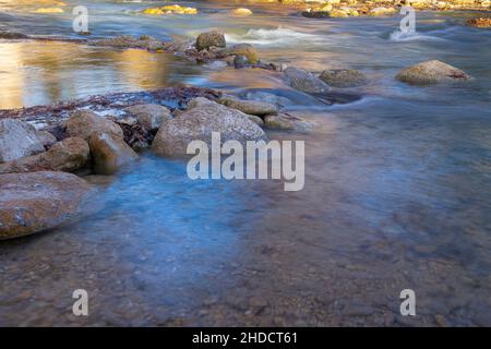 Guadalupe River; Texas; Kendall County; James Kiehl Park; Herbst; Montezuma Baldcypress; Taxodium mucronatum Stockfoto