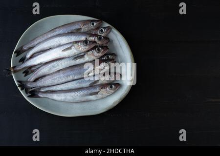 Frischer blauer Wittling auf Teller auf schwarzem Holzhintergrund. Frischer Fisch. Speicherplatz kopieren. Draufsicht. Stockfoto