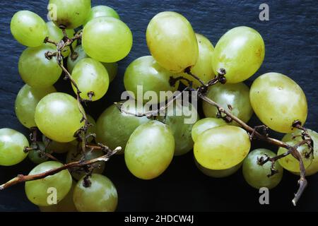 Fotos von einem Bund italienischer, kernloser weißer Trauben auf Schiefer als Hintergrund für Lebensmittel Stockfoto