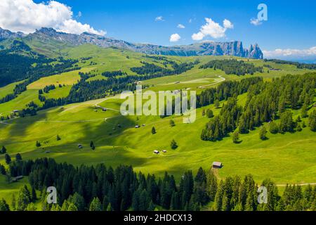 Blick von der schönen grünen Alp auf den markanten und berühmten Dolomitenberg: Schlern - Schlern Stockfoto