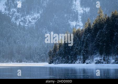 Sonnenstrahlen Streifen im Winter Baumwipfel auf dem eiskalten plansee mit Dampf im Sonnenlicht Stockfoto