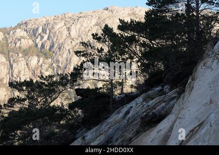 Bootsfahrt entlang des Lysefjords. Stockfoto