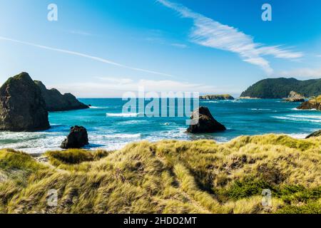 Pazifik; Meyers Creek Beach; Oregon Coast; USA Stockfoto