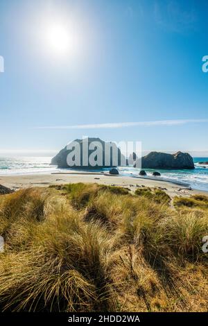 Pazifik; Meyers Creek Beach; Oregon Coast; USA Stockfoto