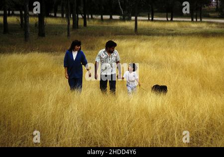 Austin Texas USA, 1991: Hispanische Familie und ihr Hund gehen durch hohes Gras in einem Stadtpark, Austin, Texas MR EV-0104-0110 ©Bob Daemmrich Stockfoto