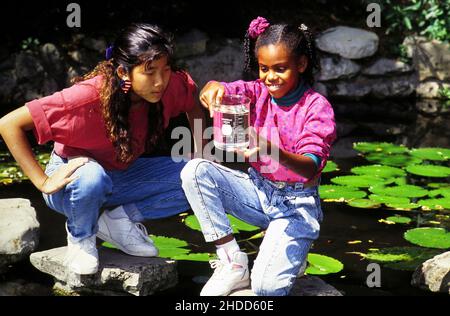 Austin Texas USA, 1991: 7th Klassenkameraden erkunden im Rahmen von Wissenschaftsexperimenten einen Teich im Zilker Park. HERR EV-82-07 ©Bob Daemmrich Stockfoto