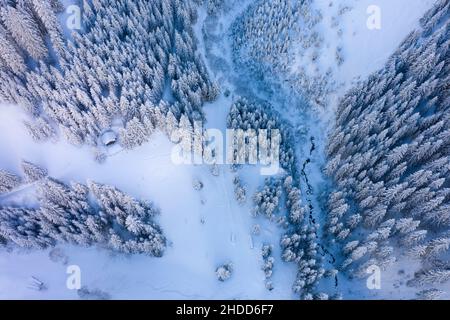 Blick von oben auf einsame Berghütte in verschneite Waldlichtung im Winter Stockfoto