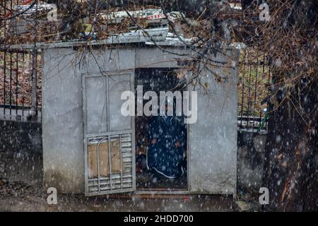 Während eines Schneefalls in Srinagar ruht ein Verkehrsbeauftragter im Bunker. Kaschmir hat weit verbreitete leichte bis mäßige Regenfälle und Schneefälle registriert, was zu Annullierungen von und zum ‘internationalen Flughafen von Srinagar führte, während mehrere weit entfernte Gebiete am Mittwoch abgeschnitten blieben. Die Meteorologische Abteilung sagte, dass sie einen „starken Schneefall“ am 7th-8th dieses Monats erwarten. Stockfoto