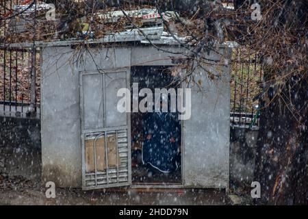 Srinagar, Indien. 05th Januar 2022. Während eines Schneefalls ‘Srinagar ruht ein Verkehrsbeauftragter im Bunker.Kaschmir hat weit verbreitete leichte bis mäßige Niederschläge und Schneefälle registriert, was zu Annullierungen von Flügen zum und vom internationalen Flughafen von Srinagar führte, während mehrere weit entfernte Gebiete am Mittwoch abgeschnitten blieben. Die Meteorologische Abteilung sagte, dass sie einen „starken Schneefall“ am 7th-8th dieses Monats erwarten. (Foto von Saqib Majeed/SOPA Images/Sipa USA) Quelle: SIPA USA/Alamy Live News Stockfoto