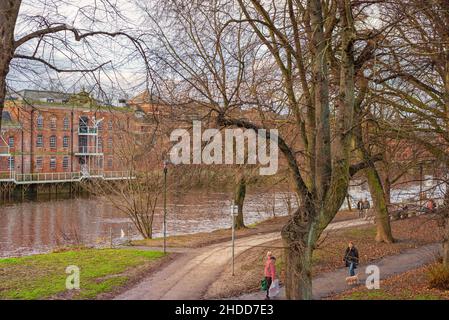 Winterszene eines Parks mit Blick über einen Fluss zu einem umgebauten Lagerhaus. Ein Pfad verläuft entlang eines Flussufers und ein alter Baum steht im Vordergrund. Stockfoto