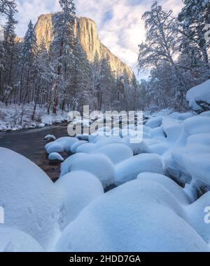 Schnee bedeckt die Felsen und die Vegetation entlang des Merced River, mit dem El Capitan Peak im Hintergrund, Yosemite National Park, Kalifornien, USA. Stockfoto