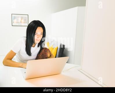 Junge, schöne Frau sitzt hinter einem Lkoputer und schaut auf den Bildschirm in einem weißen, hellen Raum mit Sofa im Hintergrund. „Work from Home“-Konzept. Stockfoto