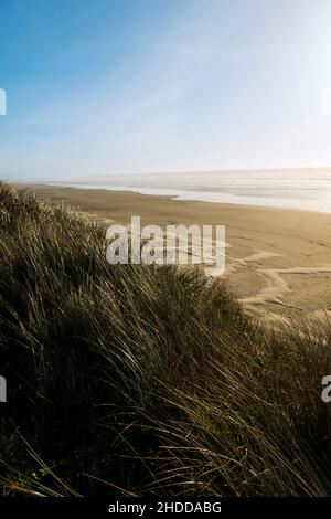 Blick auf den Sonnenuntergang südlich von Dünengräsern; Wellen und Strand; Pazifischer Ozean; Newport; Oregon; USA Stockfoto