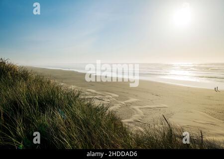 Blick auf den Sonnenuntergang südlich von Dünengräsern; Wellen und Strand; Pazifischer Ozean; Newport; Oregon; USA Stockfoto