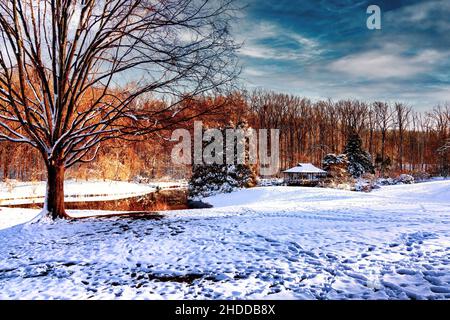 Japanisches Teehaus in einem Park-Teich in winterlicher Umgebung Stockfoto