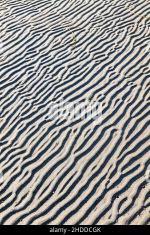 Nahaufnahme von windgeformten Mustern im Sand; Fort Stevens State Park; Pazifik; Küste von Oregon; USA Stockfoto