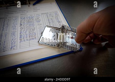 Der Simicon-Test mit biologischen Indikatoren wird in einem Krankenhaus durchgeführt Stockfoto