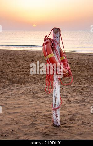 lifebuoy am Sandstrand von Vieste, Gargano, Apulien, Italien Stockfoto