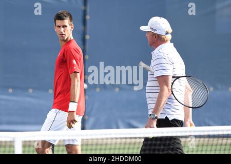 FLUSHING NY-SEPTEMBER 03: Novak Djokovic, Boris Becker, Tag zehn der 2014 US Open am USTA Billie Jean King National Tennis Center am 3. September 2014 in der Nähe der Queens Borough von New York City People: Novak Djokovic, Boris Becker Stockfoto