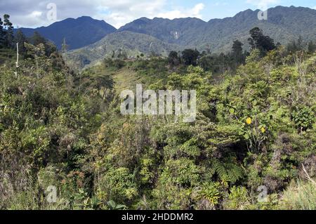 Papua-Neuguinea; Östliches Hochland; Goroka; Namta (Mefenga); Typische Berglandschaft in Zentral-Papua; Typische Berglandschaft in Zentral-Papua Stockfoto