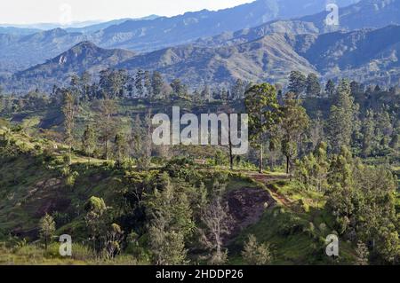 Papua-Neuguinea; Östliches Hochland; Goroka; Namta (Mefenga); Typische Berglandschaft in Zentral-Papua; Typische Berglandschaft in Zentral-Papua Stockfoto