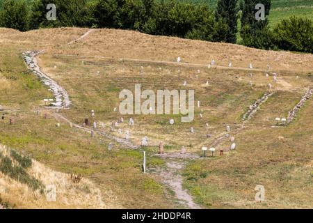 Luftaufnahme der antiken Balbals-Steinmarker vom Burana-Turm, Kirgisistan Stockfoto