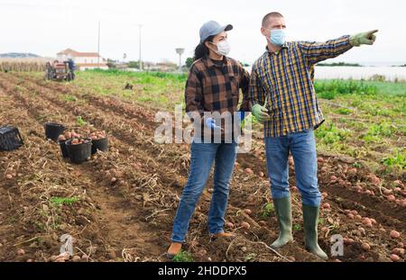 Die Landarbeiter in den Masken, die die Diskussion auf dem Feld führen Stockfoto