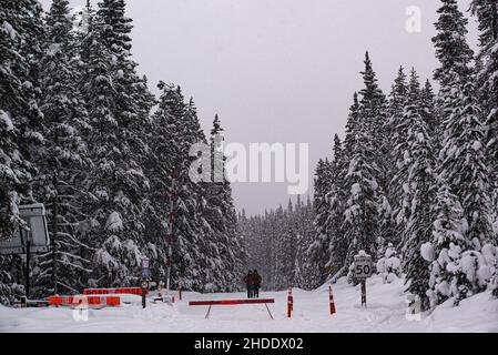 Yoho National Park, Kanada - 23 2021. Dez.: Schneebedeckter Pfad, umgeben von Wald im Yoho National Park Stockfoto