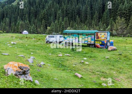 KARAKOL, KIRGISISTAN - 16. JULI 2018: Bienenstöcke im Karakol-Flusstal in Kirgisistan Stockfoto