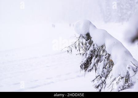 Lake Louise, Kanada - 23 2021. Dez.: Frozon Lake Louise mit Waldblick und Hütte am See Stockfoto