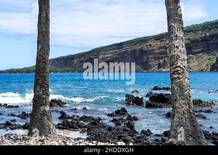 Der Manini Beach in der Kealakekua Bay auf Big Island, Hawaii Stockfoto