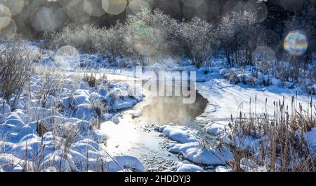 Morgennebel, der aus einem Feuchtgebiet im Norden von Wisconsin aufsteigt. Stockfoto