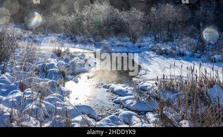 Morgennebel, der aus einem Feuchtgebiet im Norden von Wisconsin aufsteigt. Stockfoto