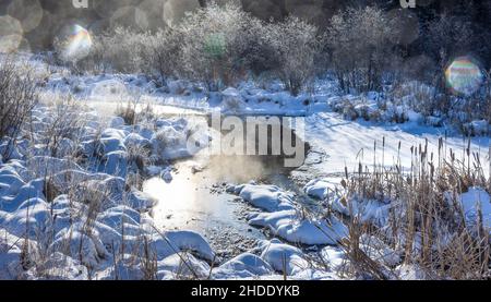 Morgennebel, der aus einem Feuchtgebiet im Norden von Wisconsin aufsteigt. Stockfoto