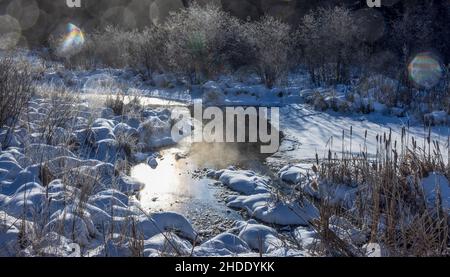 Morgennebel, der aus einem Feuchtgebiet im Norden von Wisconsin aufsteigt. Stockfoto