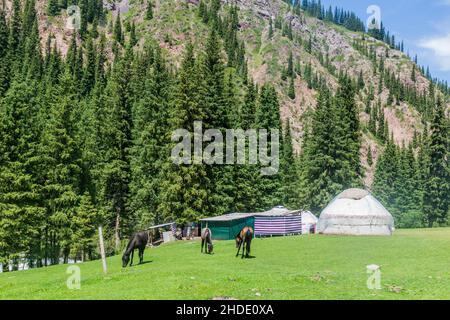 Jurten und Pferde im Jeti Oguz-Tal, Kirgisistan Stockfoto