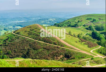 Sugarloaf und Table Hills, bedeckt mit üppigem, grünem Gras und gebadet in Sommersonne, teilen sich öffentliche Wege und winden sich um und über die Gipfel der Stockfoto