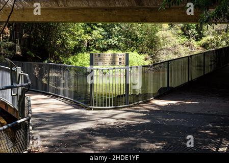 Der Wanderweg bei Fitzroy Falls Stockfoto