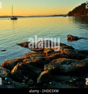 Ein Felsvorsprung am Ufer von Vancouver Island, wenn die Sommersonne im Osten aufgeht Stockfoto